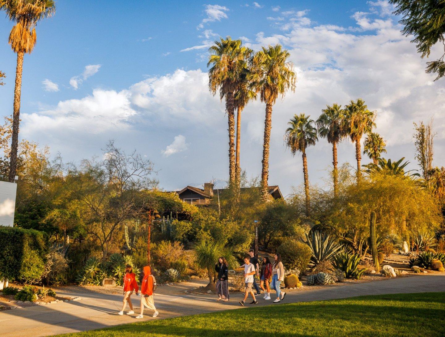 Students walking in front of plam trees.